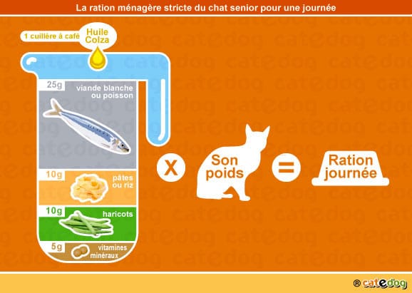 alimentation-ration-menagere-chat-age-senior