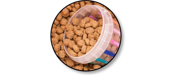 alimentation-ration-nourir-manger-chien-chiot