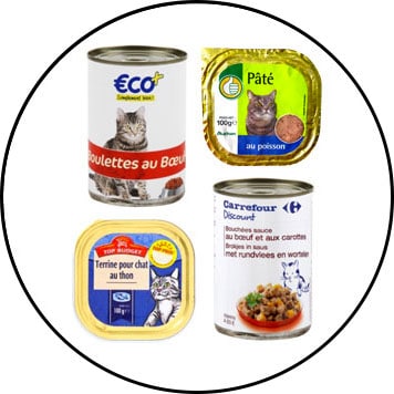 Avis sur l'alimentation du chat