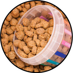 Ration alimentaire du chat et du chien