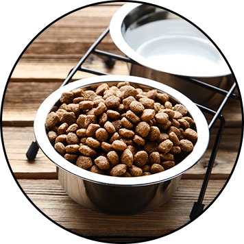 Croquettes sans céréales pour chien