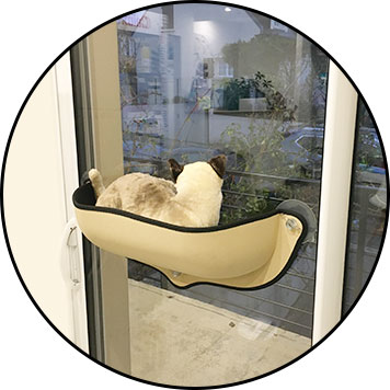 Hamac de fenêtre pour chat ou transat ou panier