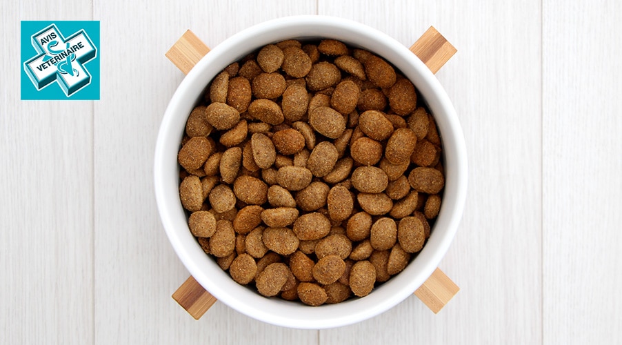 Tails croquettes avis vétérinaire