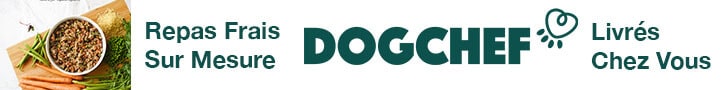 Alimentation du chien atteint d'une tumeur ou d'un cancer