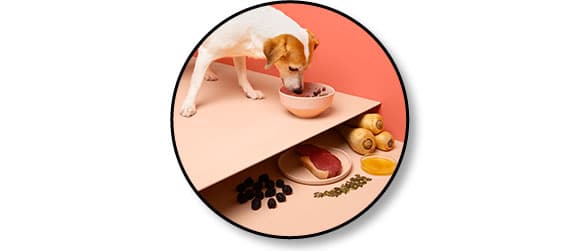 Avis vétérinaire et code promo pour Franklin Pet Food