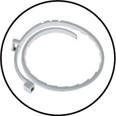 Traitement et collier anti puce pour le chien