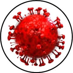 maladie-contagieuse-chat-chien-vaccination-vaccin