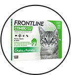 traitement-pipette-chat-puce-tique