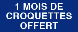 Code promo 1 mois offert Tails