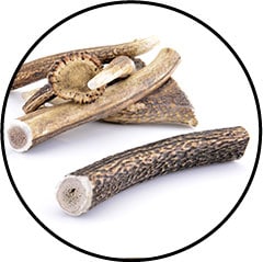 Bois de cerf pour chien