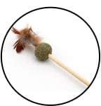 Cataire pour chat en plumeau