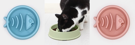 Gamelle anti glouton avec poisson pour chat