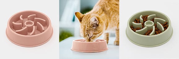 Gamelle anti-glouton chat
