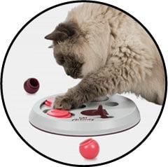 Gamelle anti-glouton chat et jeu intelligent