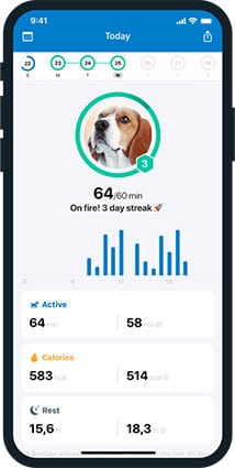 Traceur GPS Tractive pour chien avis vétérinaire