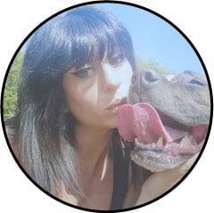 elisa-pilarski-chien-pitbull