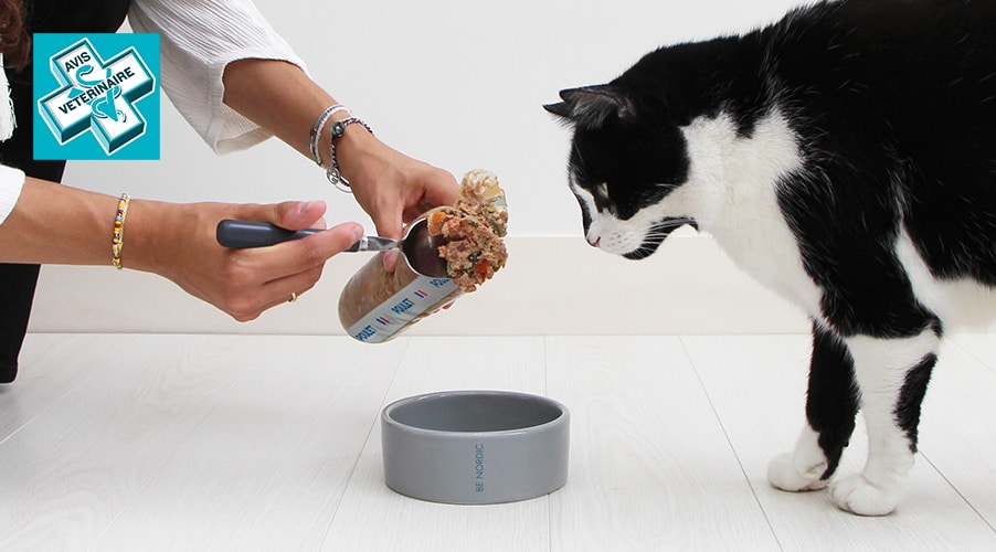 Elmut pour chat avis vétérinaire