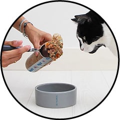 Elmut avis vétérinaire et code promo chat et chien