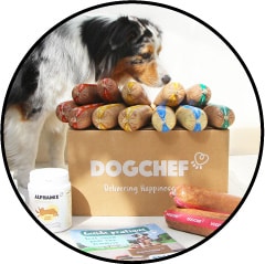 Avis et code promo Dog Chef