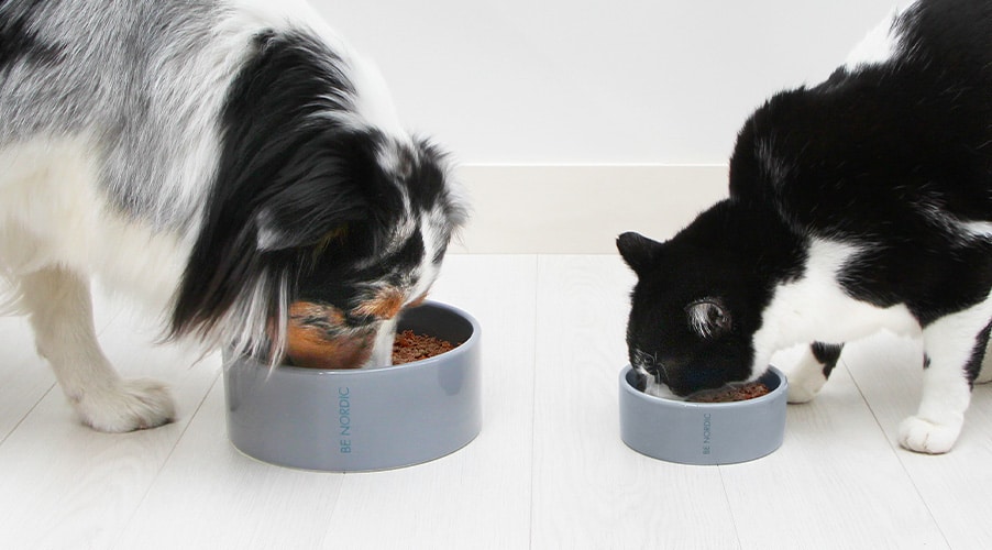 Avis et code promo Elmut chat et chien