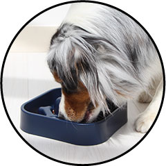 plateau gamelle anti glouton pour le chien obèse