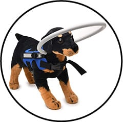 Harnais avec anneau de protection pour le chien aveugle