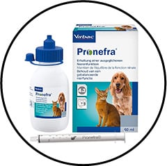 insuffisance-renale-chat-chien-pronefra