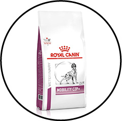 Alimentation et croquettes contre l'arthrose du chien