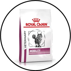 Alimentation du chat avec de l'arthrose Mobility