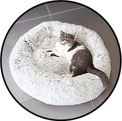 Coussin à mémoire de forme pour l'arthrose du chat