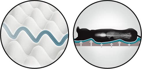 Matelas à mémoire de forme pour chien souffrant d'arthrose