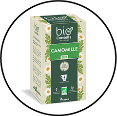 Conjonctivite du chien et chat et traitement avec de la camomille