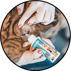 Nettoyant physiologique Vetocanis chat et et chien