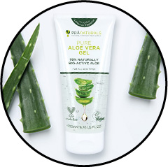 Traitement de la conjonctivite du chien et du chat avec de l'aloe vera