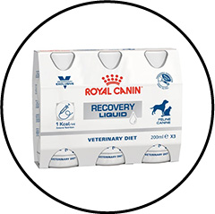 recovery-liquid-chien-chat-cancer