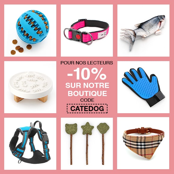 Boutique en ligne d'accessoires pour chien et chat
